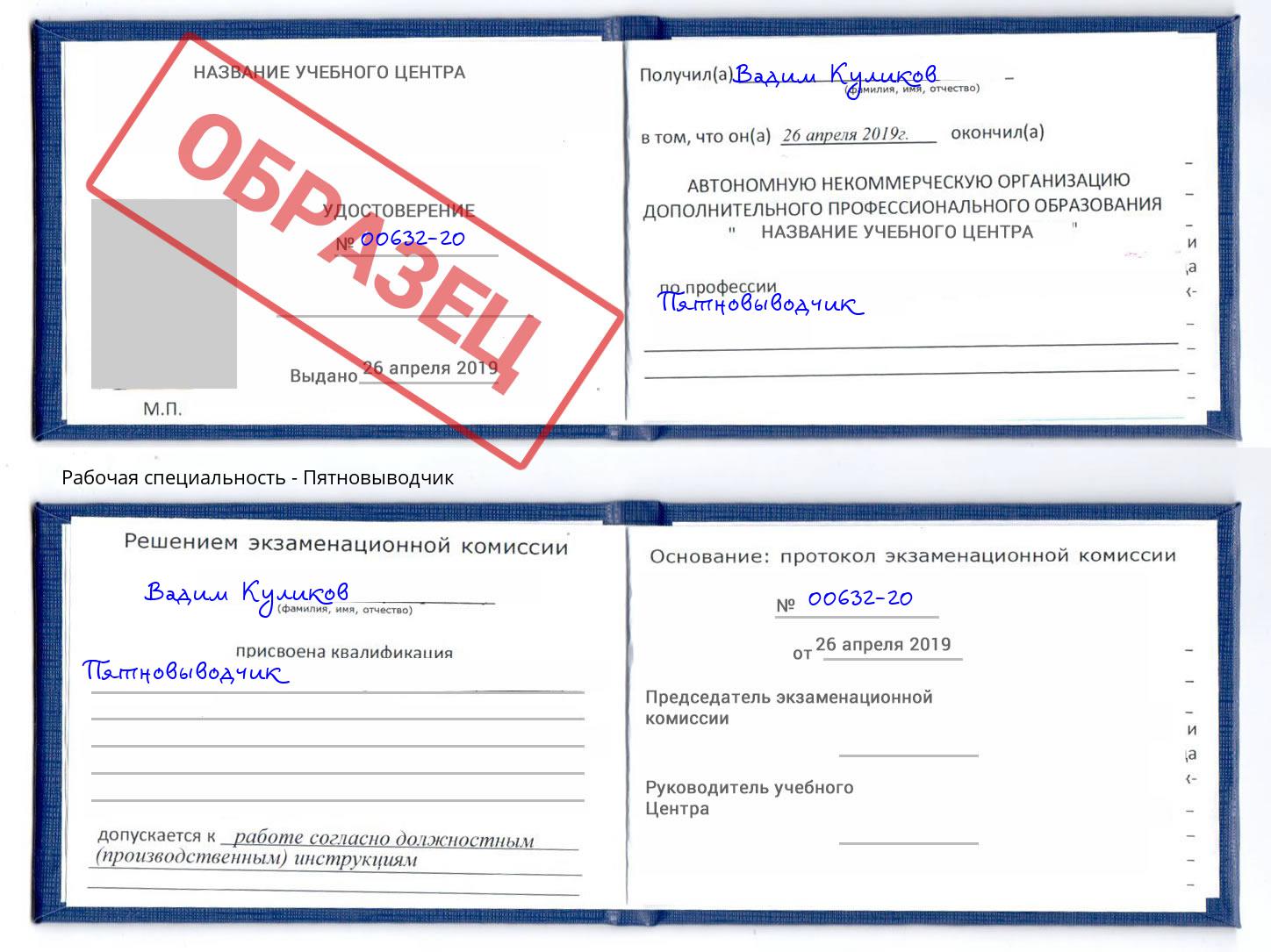 Пятновыводчик Йошкар-Ола